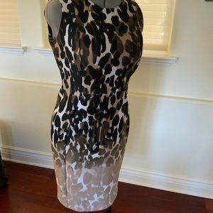 Calvin Klein Sheath Dress, animal print, size 12. Stretchy